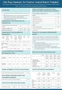 One pager for trustees annual report template presentation report infographic ppt pdf document