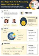 One pager non profit accounting restricted funds sheet presentation report infographic ppt pdf document