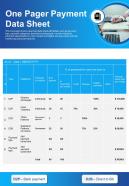 One pager payment data sheet presentation report infographic ppt pdf document