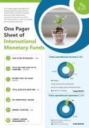 One pager sheet of international monetary funds presentation report infographic ppt pdf document