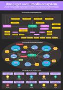 One Pager Social Media Ecosystem Presentation Report Infographic PPT PDF Document