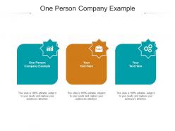 One person company example ppt powerpoint presentation show ideas cpb