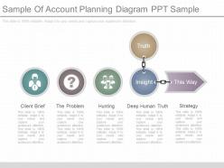 One sample of account planning diagram ppt sample