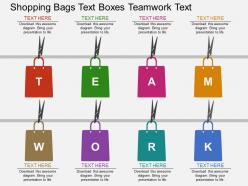 One shopping bags text boxes teamwork text flat powerpoint design