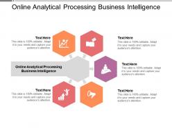 Online analytical processing business intelligence ppt powerpoint presentation styles deck cpb