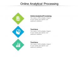 Online analytical processing ppt powerpoint presentation model background images cpb