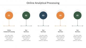 Online Analytical Processing Ppt Powerpoint Presentation Show Guide Cpb