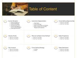 Online and retail cross selling strategy table of content ppt portfolio example topics