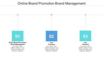 Online brand promotion brand management ppt powerpoint presentation styles microsoft cpb