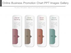 Online business promotion chart ppt images gallery