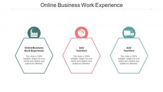 Online Business Work Experience Ppt Powerpoint Presentation Styles Microsoft Cpb