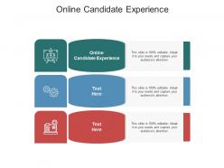 Online candidate experience ppt powerpoint presentation gallery aids cpb