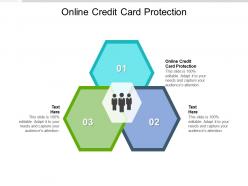 Online credit card protection ppt powerpoint presentation slides designs cpb