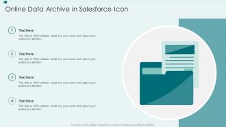 Online Data Archive In Salesforce Icon