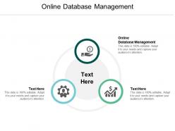 Online database management ppt powerpoint presentation styles sample cpb