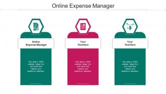 Online Expense Manager Ppt Powerpoint Presentation Pictures Show Cpb