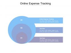 Online expense tracking ppt powerpoint presentation show structure cpb