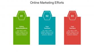 Online marketing efforts ppt powerpoint presentation ideas elements cpb