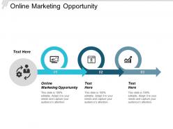 Online marketing opportunity ppt powerpoint presentation background images cpb