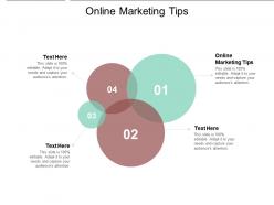 Online marketing tips ppt powerpoint presentation slide download cpb