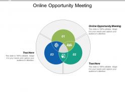 Online opportunity meeting ppt powerpoint presentation portfolio gridlines cpb