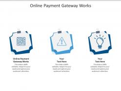 Online payment gateway works ppt powerpoint presentation infographics background cpb