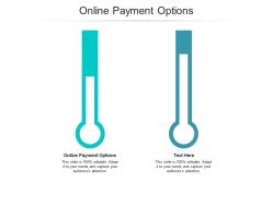 Online payment options ppt powerpoint presentation pictures graphics cpb