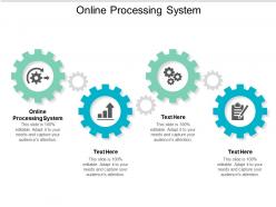 Online processing system ppt powerpoint presentation layouts portrait cpb