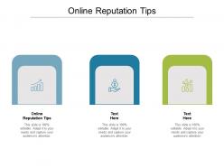 Online reputation tips ppt powerpoint presentation infographic template good cpb