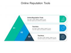 Online reputation tools ppt powerpoint presentation outline graphics template cpb