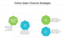 Online sales channel strategies ppt powerpoint presentation summary graphics pictures cpb