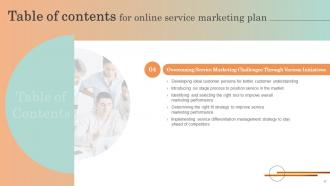 Online Service Marketing Plan Complete Deck Impressive Informative