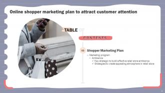 Online Shopper Marketing Plan To Attract Customer Attention MKT CD V Researched Template