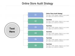 Online store audit strategy ppt powerpoint presentation show designs download cpb