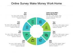 Online survey make money work home ppt powerpoint presentation model file formats cpb