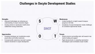 Oocyte Development PPT Sample ACP Best Analytical