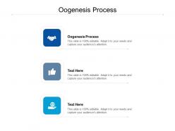 Oogenesis process ppt powerpoint presentation icon designs download cpb