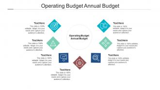 Operating budget annual budget ppt powerpoint presentation file guide cpb