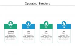 Operating structure ppt powerpoint presentation inspiration design inspiration cpb