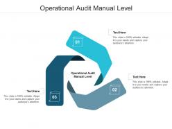 Operational audit manual level ppt powerpoint presentation show icon cpb