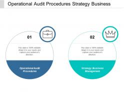 Operational audit procedures strategy business management resource strategy cpb
