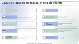 Operational Change Management Causes Of Organizational Changes In Business Lifecycle CM SS V