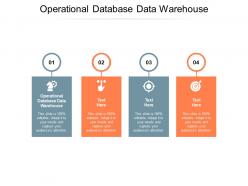 Operational database data warehouse ppt powerpoint presentation summary images cpb