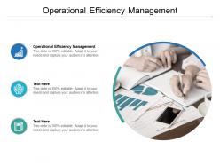 Operational efficiency management ppt powerpoint presentation summary examples cpb