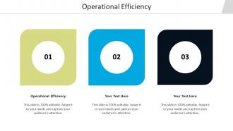 Operational efficiency ppt powerpoint presentation layouts icons cpb