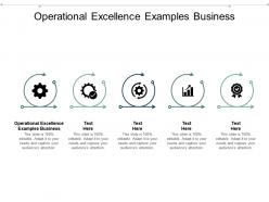 Operational excellence examples business ppt powerpoint presentation gallery vector cpb