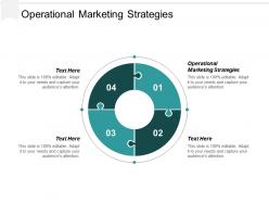Operational marketing strategies ppt powerpoint presentation professional outline cpb
