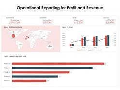 Operational reporting for profit and revenue