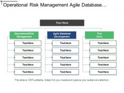 Operational risk management agile database development investment management cpb
