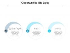 Opportunities big data ppt powerpoint presentation summary introduction cpb